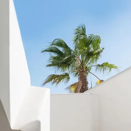 Playa D Embossa Vibra Apartman
